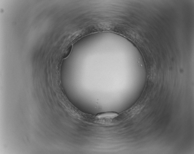 X0000052981201200507221319