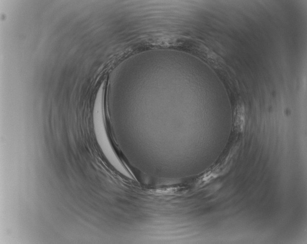 X0000052981202200507221319