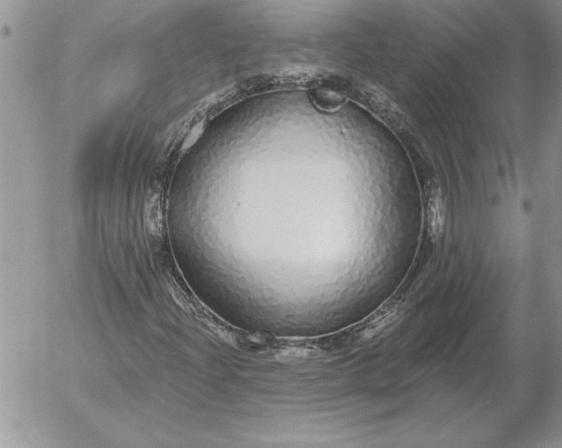 X0000052981204200507221319