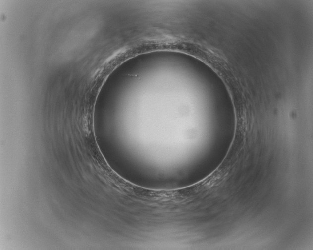 X0000052981205200507221319