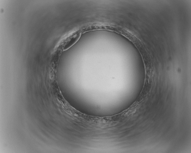 X0000052981207200507221319