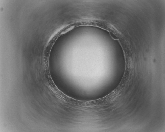 X0000052981208200507221319