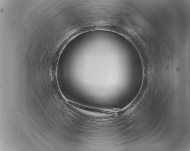 X0000052981209200507221319