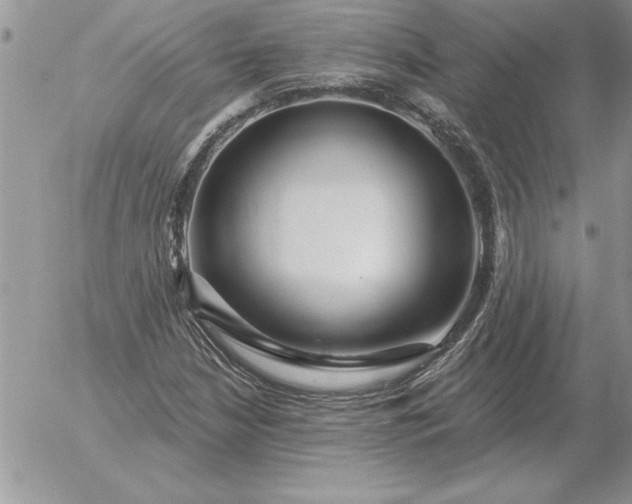 X0000052981210200507221319