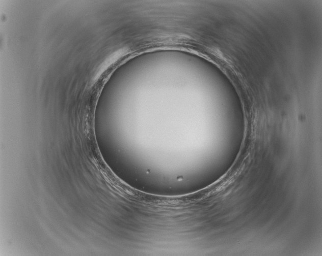 X0000052981211200507221319