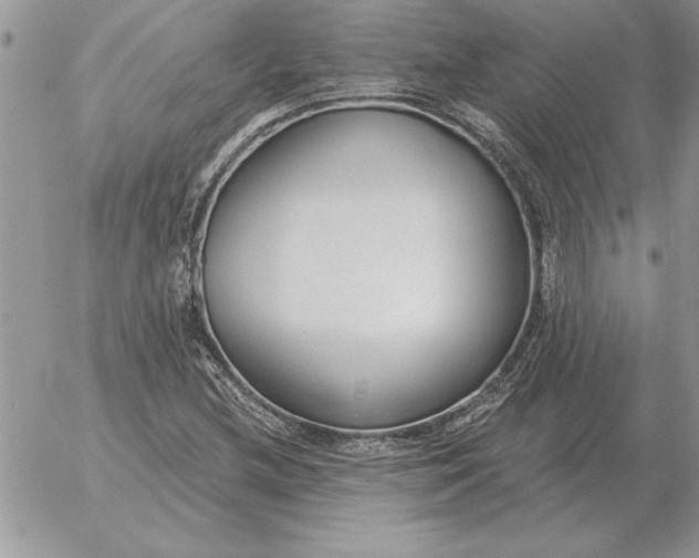 X0000052981212200507221319