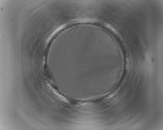 X0000052981213200507221319