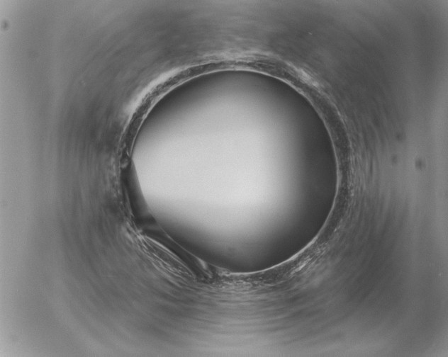 X0000052981214200507221319