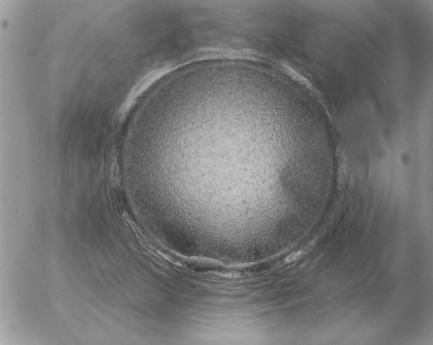 X0000052981215200507221319