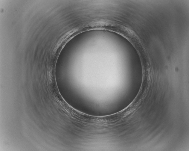 X0000052981217200507221319