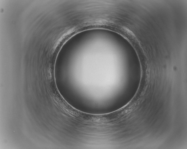 X0000052981218200507221319