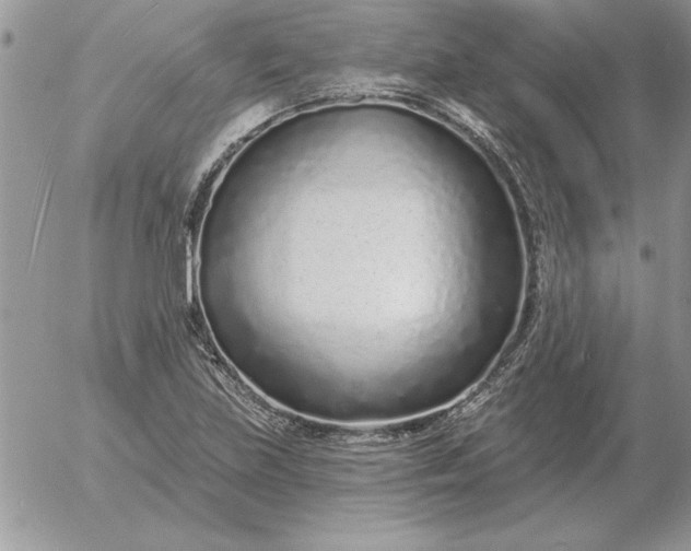 X0000052981219200507221319