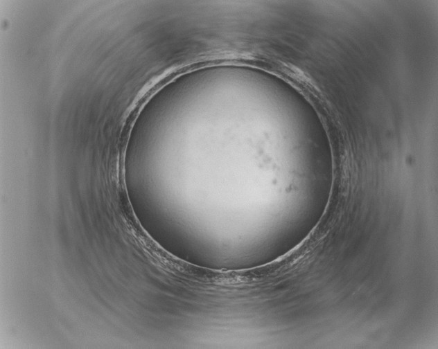 X0000052981220200507221319