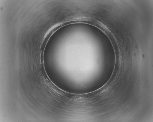 X0000052981222200507221319