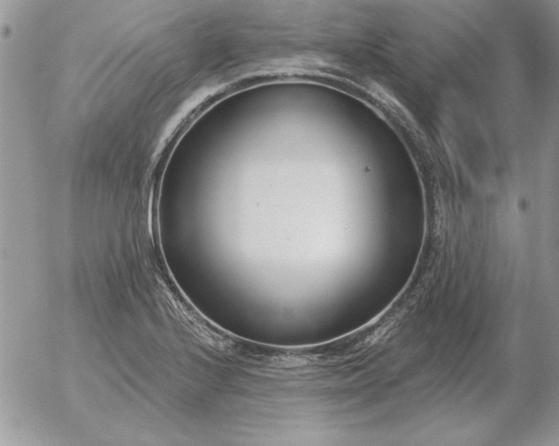 X0000052981224200507221319