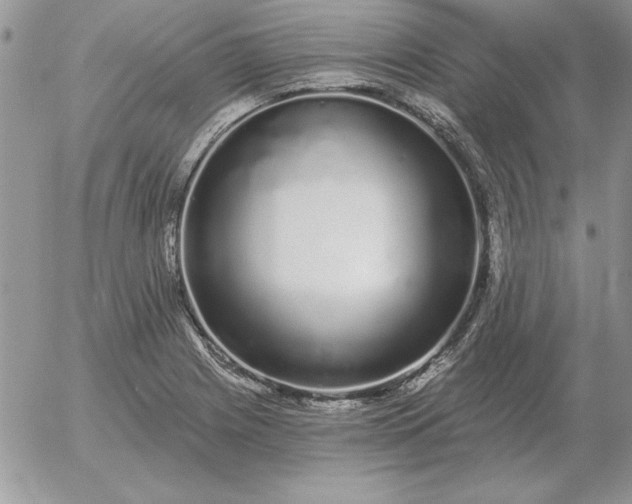 X0000052981225200507221319