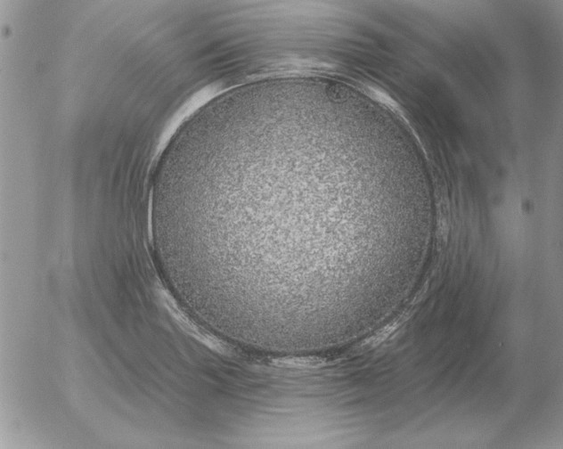 X0000052981227200507221319