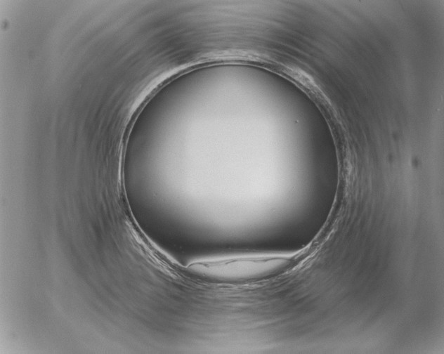 X0000052981228200507221319