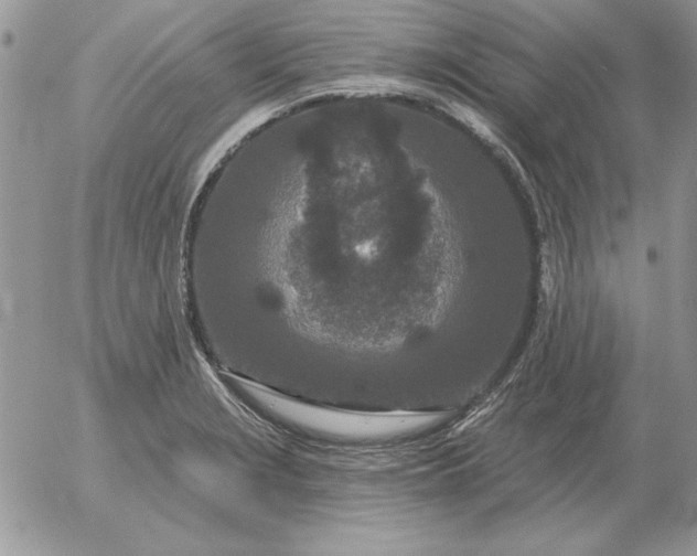 X0000052981229200507221319