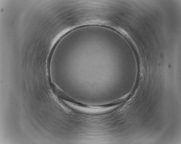 X0000052981230200507221319