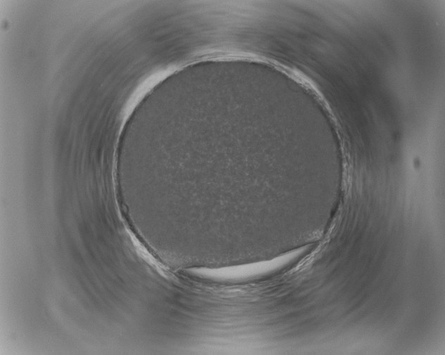 X0000052981231200507221319