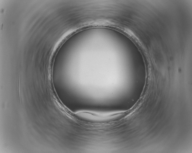 X0000052981232200507221319