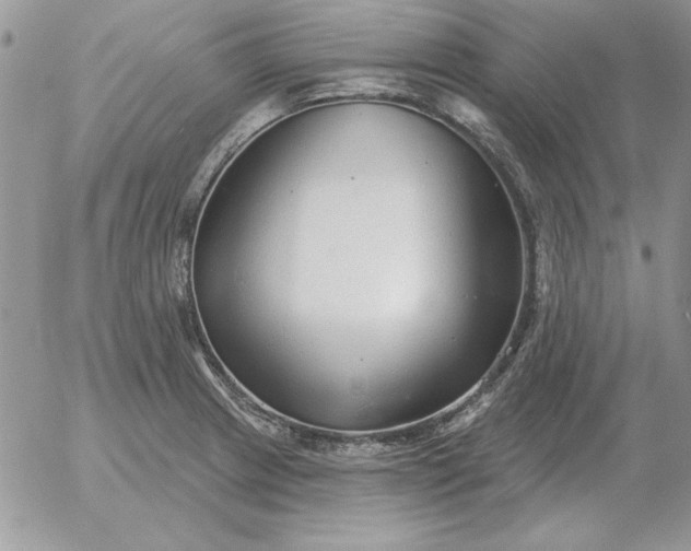 X0000052981233200507221319