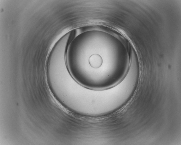 X0000052981235200507221319