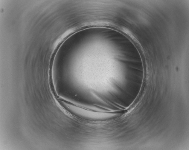 X0000052981237200507221319