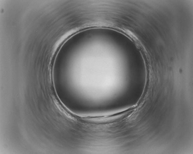 X0000052981238200507221319