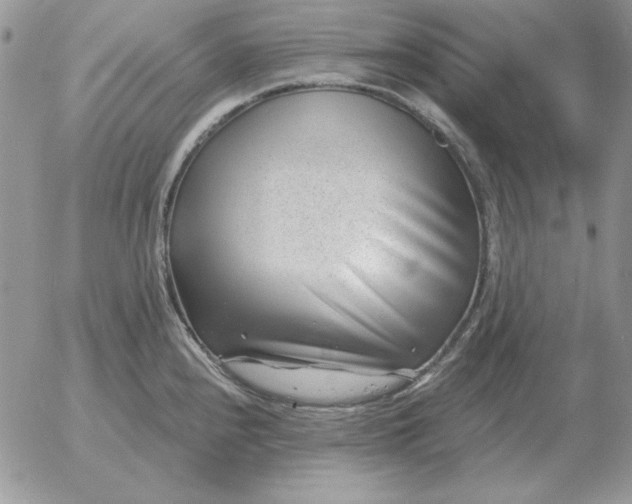 X0000052981240200507221319