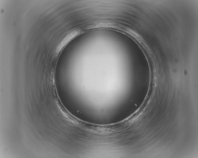 X0000052981241200507221319