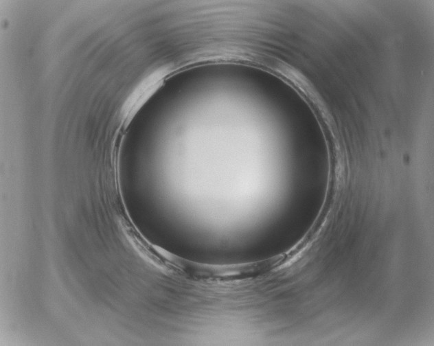 X0000052981242200507221319