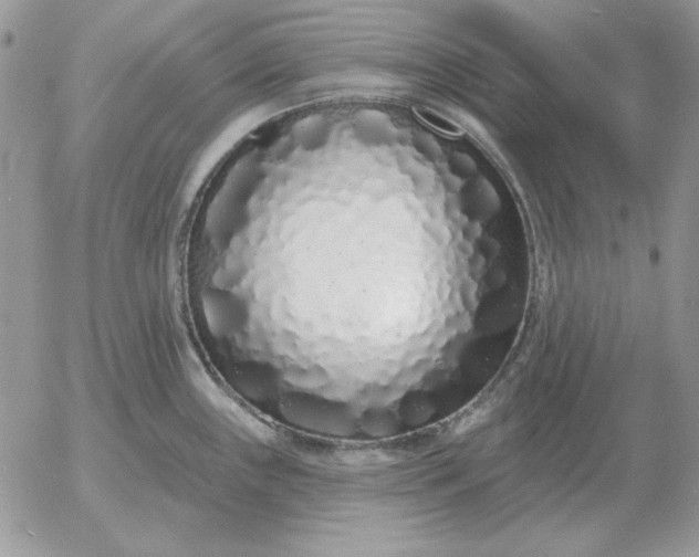 X0000052981243200507221319