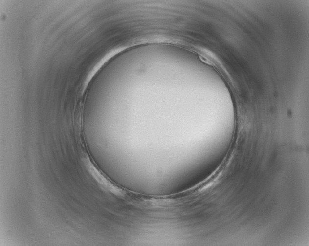 X0000052981244200507221319