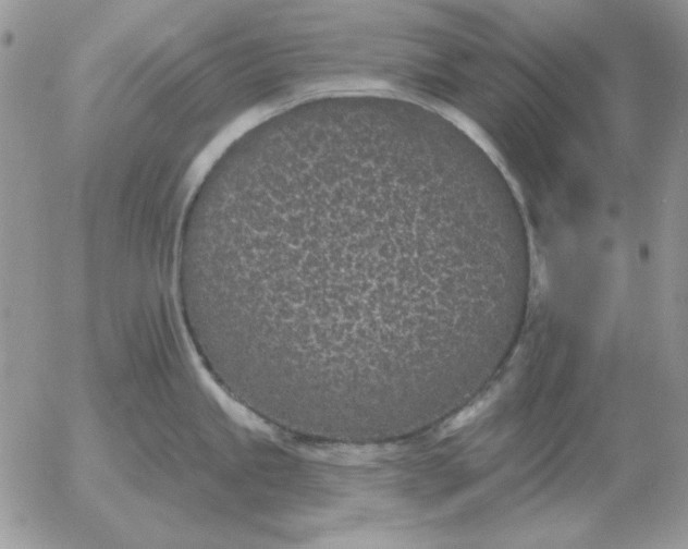 X0000052981245200507221319