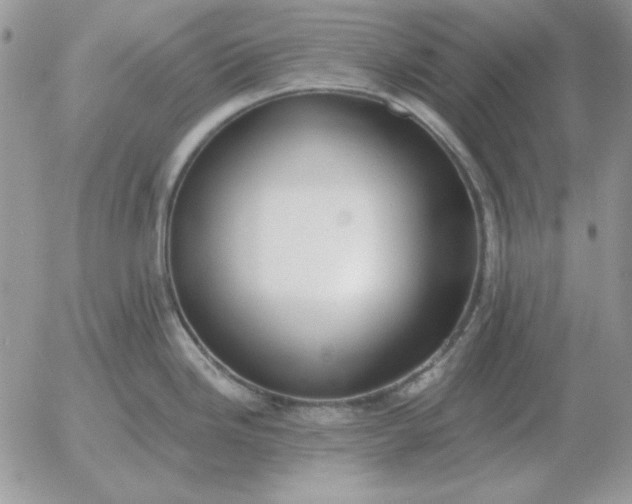 X0000052981246200507221319