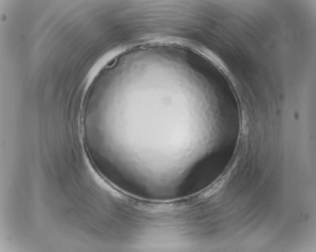 X0000052981247200507221319