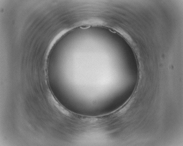 X0000052981248200507221319