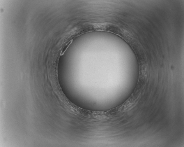 X0000052981249200507221319