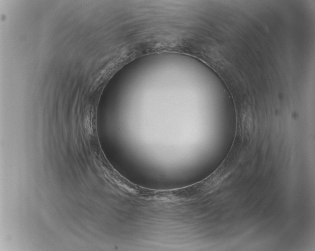 X0000052981250200507221319