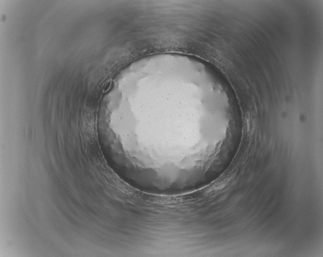 X0000052981251200507221319