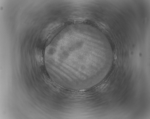 X0000052981252200507221319