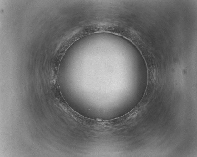 X0000052981253200507221319