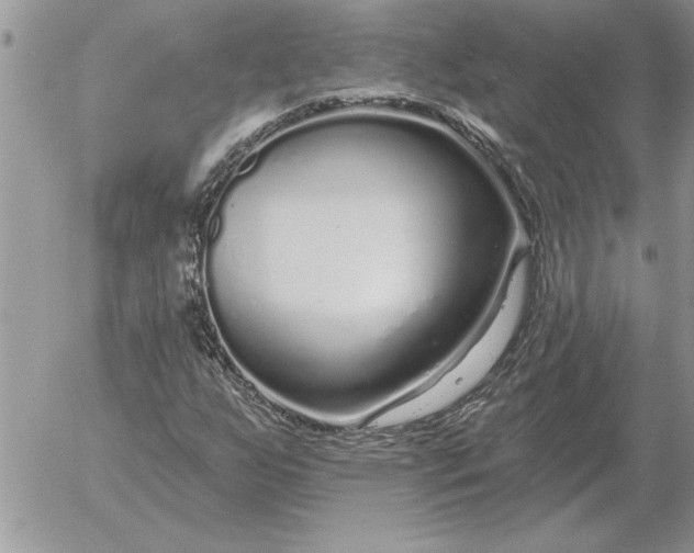 X0000052981255200507221319