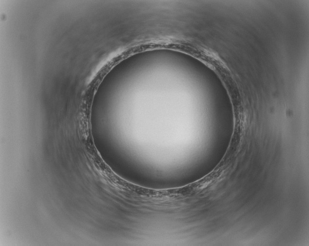 X0000052981256200507221319