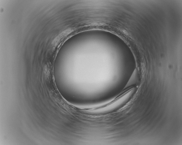 X0000052981257200507221319