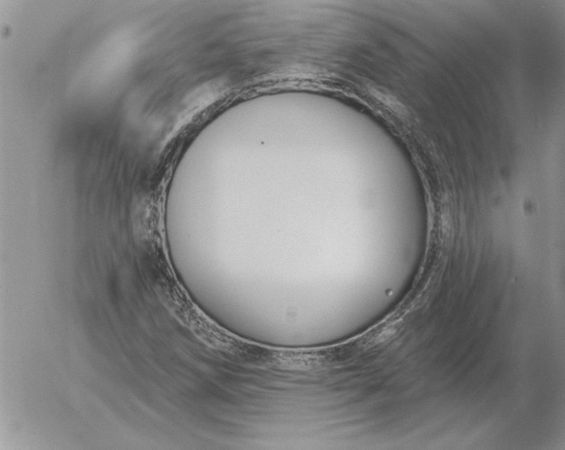 X0000052981258200507221319