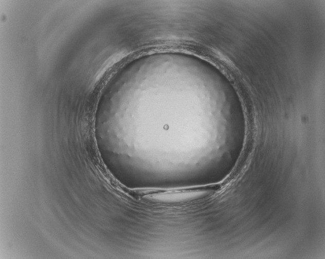 X0000052981259200507221319