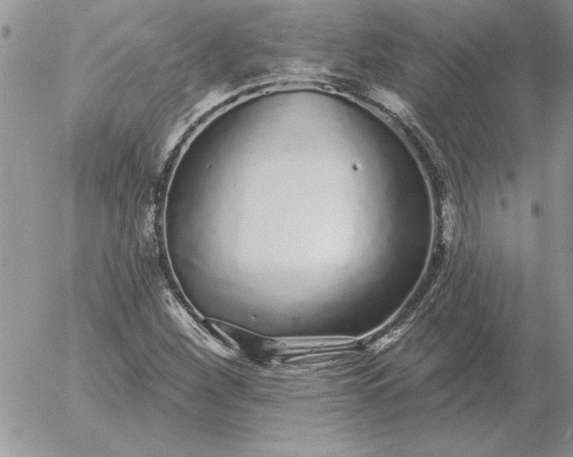 X0000052981260200507221319